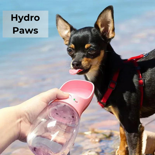 HydroPaws: On-the-Go Pet Hydration Solution!