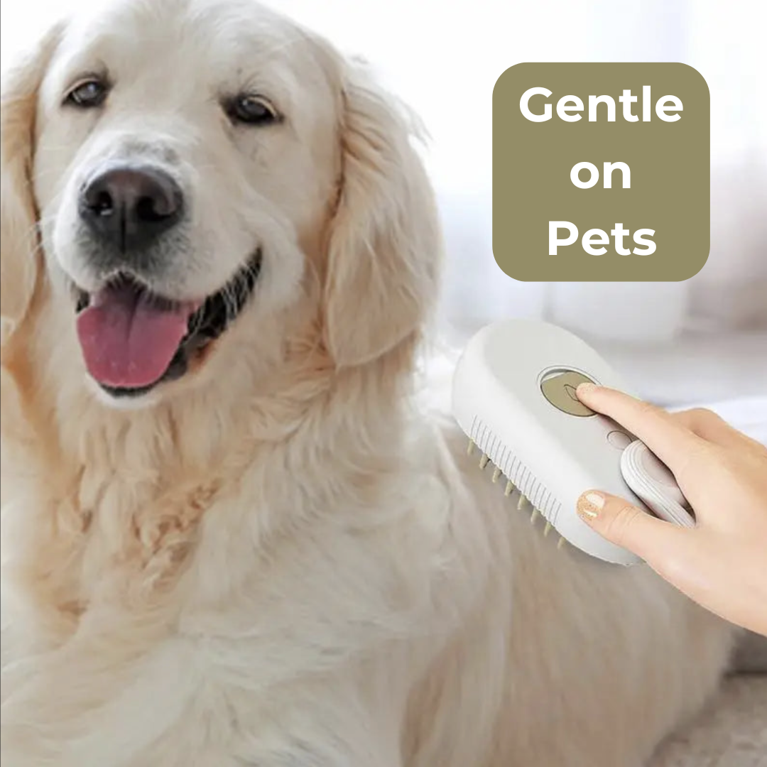 "SteamyGroom: 3-in-1 Pet Spa Brush!"