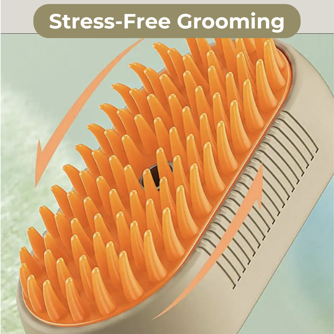 "SteamyGroom: 3-in-1 Pet Spa Brush!"