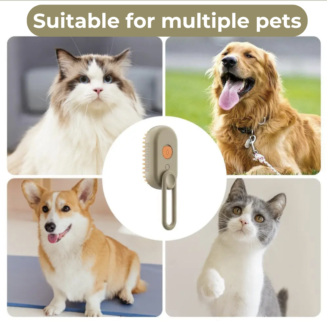 "SteamyGroom: 3-in-1 Pet Spa Brush!"